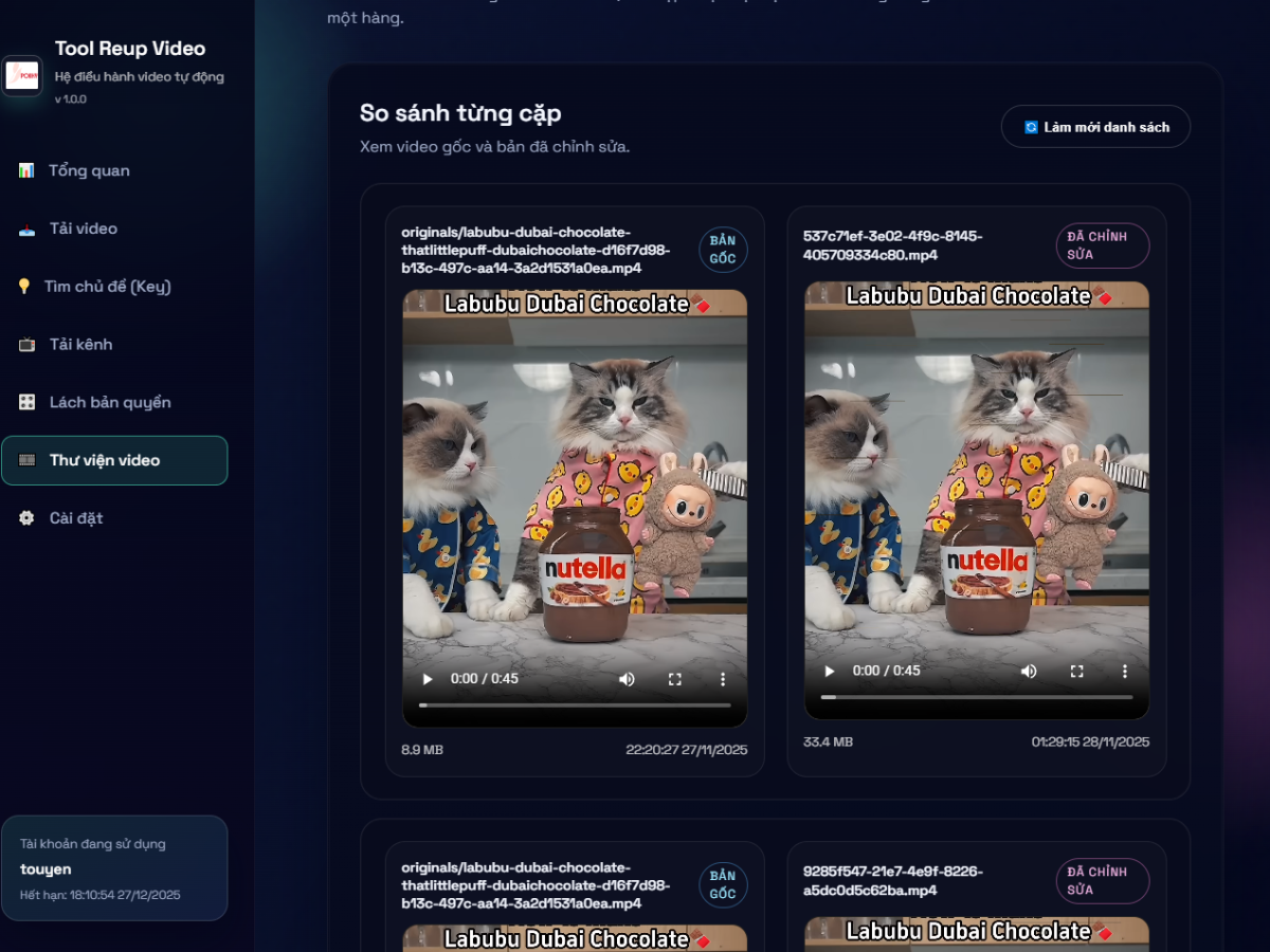 Tools Reup Video Đa Nền Tảng - Ảnh 7